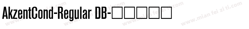 AkzentCond-Regular DB字体转换